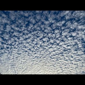 Meet your Posher, Bayartulga